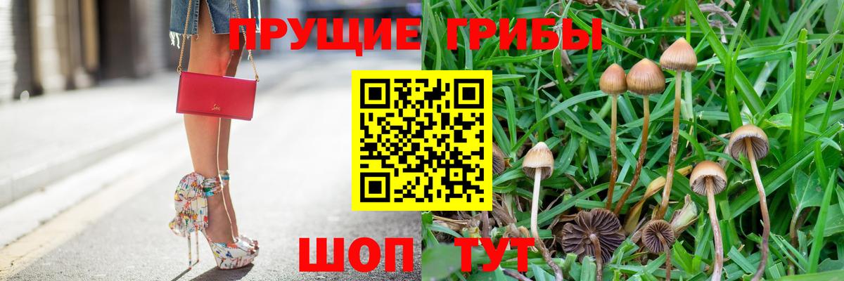 Псилоцибиновые грибы GOLDEN TEACHER  Вход с VPN  Обь 